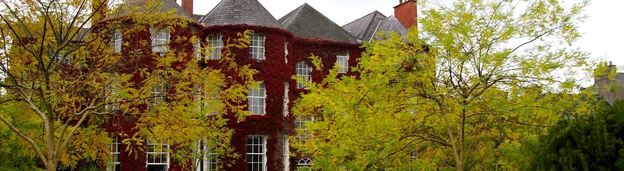 The Butler House