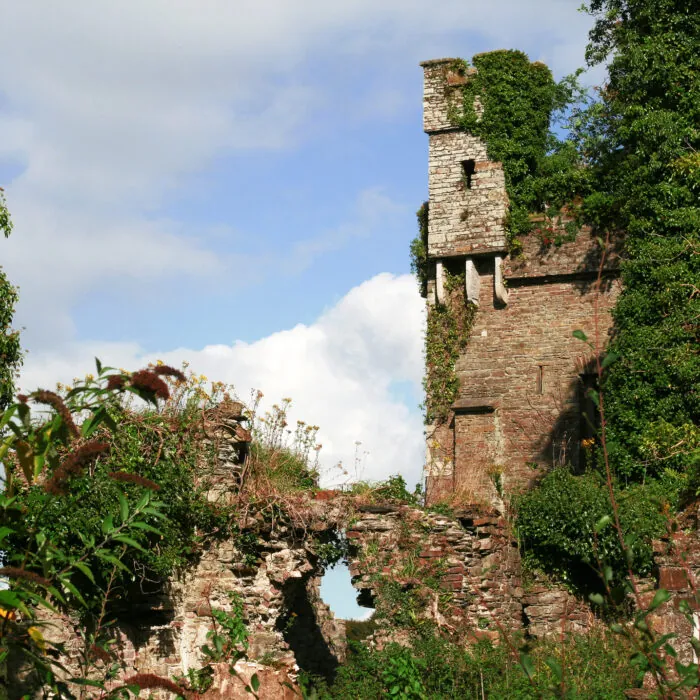 castle bernard 1