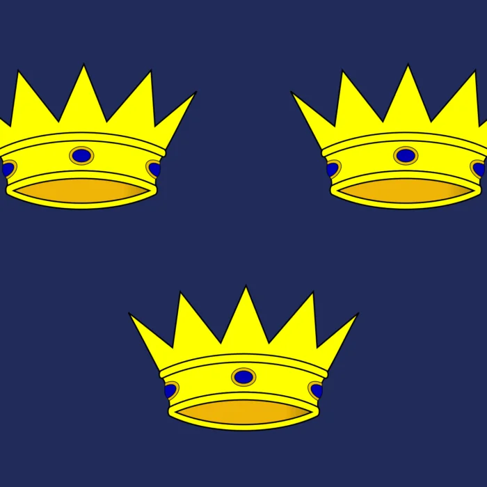 drapeau munster