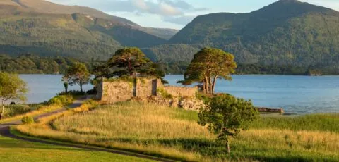 mccarthys castle