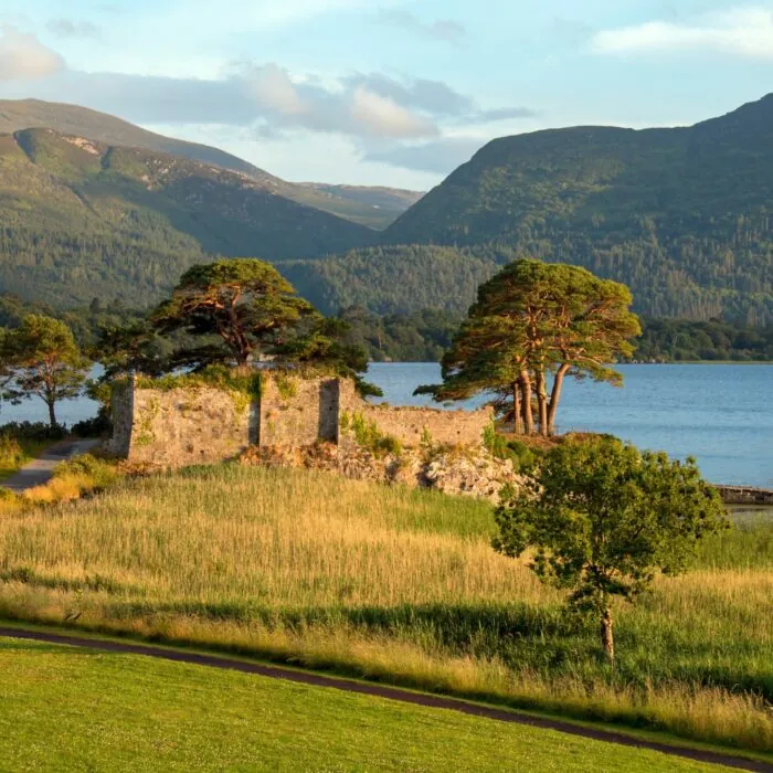 mccarthys castle