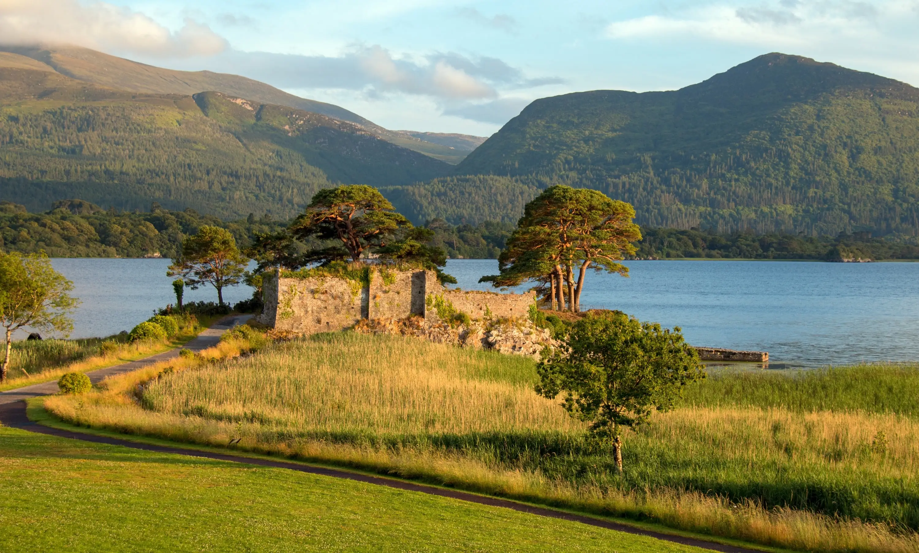 mccarthys castle