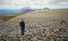 muckish mountain