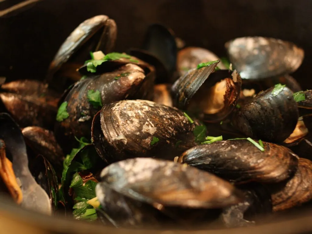 moules marinieres scaled
