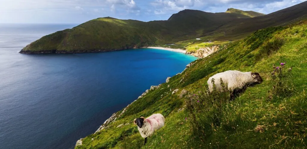 Ireland: international travel resumes on July 19
