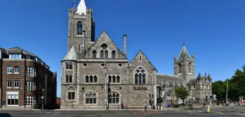 dublinia
