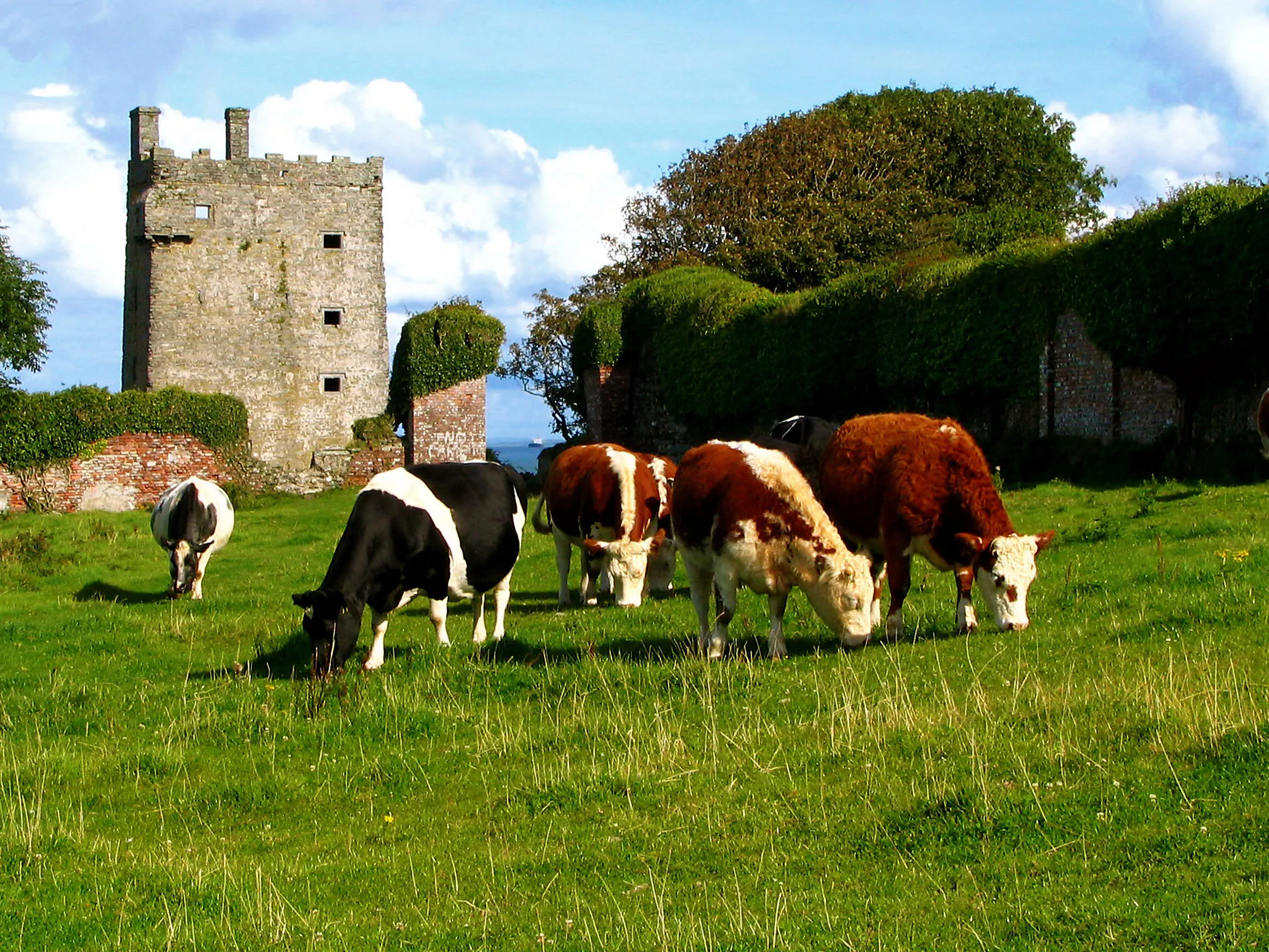 carrigaholt castle 1