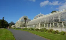 Glasnevin National Botanic Gardens - Simon - cc