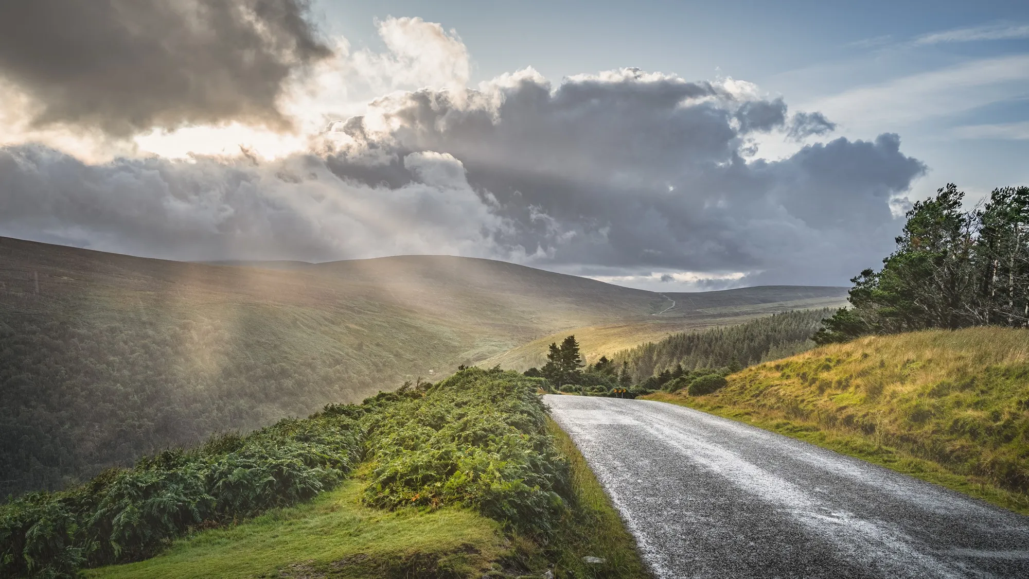 The Old Military Road