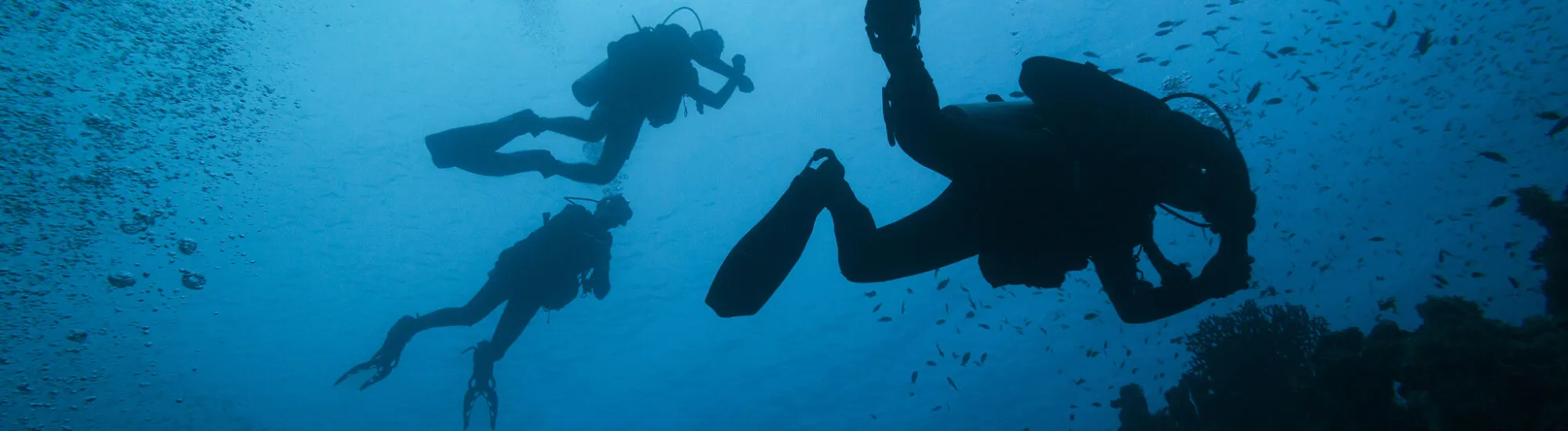 Scuba diving in Ireland