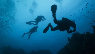 Scuba diving in Ireland