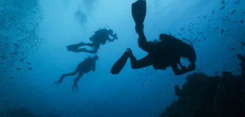 plongee sous marine 1