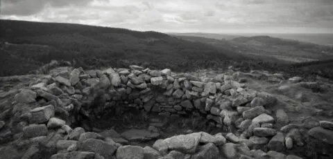 tibradden 1