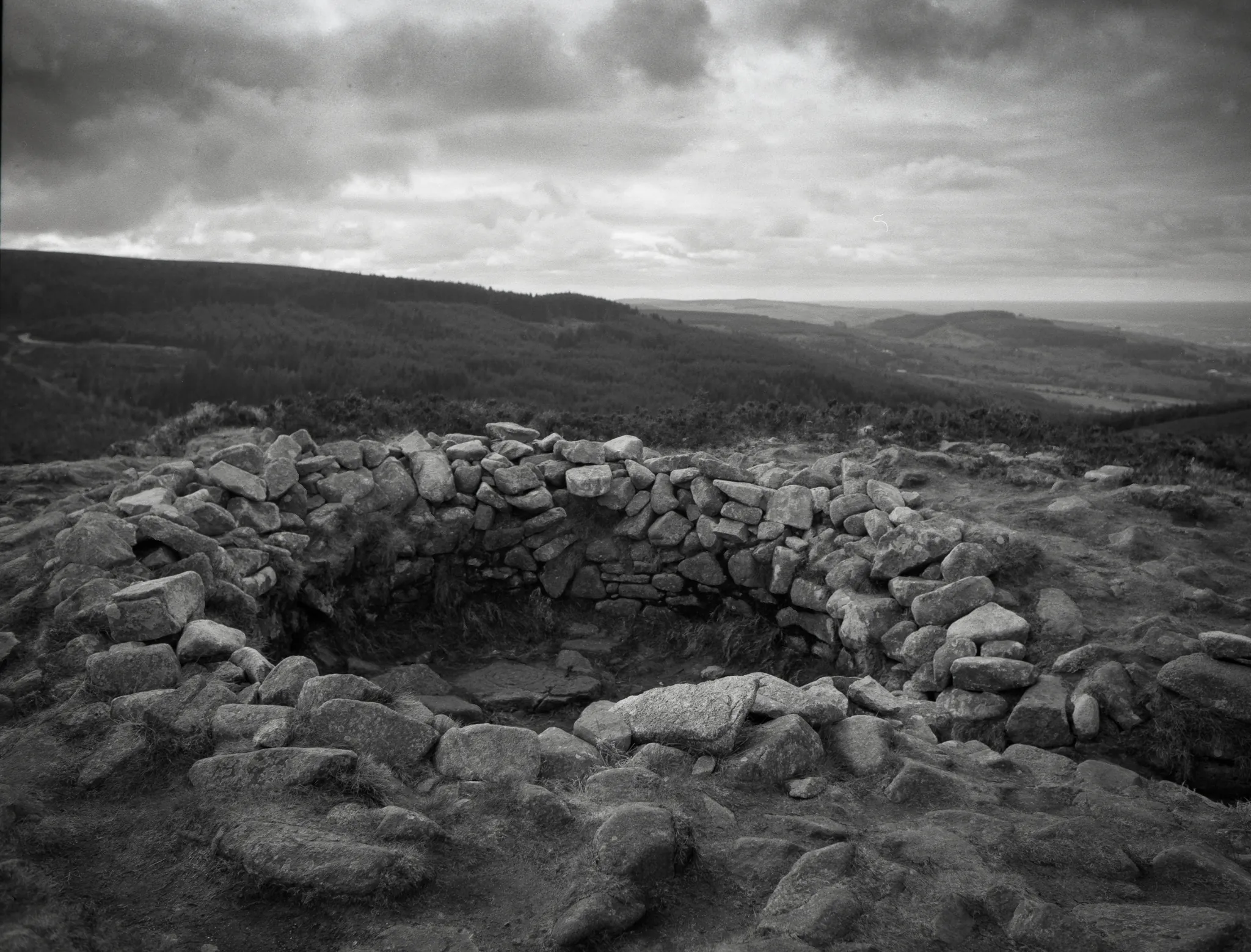 tibradden 1