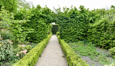 altamont gardens