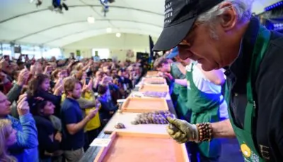 The Galway Oyster Festival