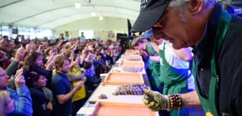 galway international oyster festival