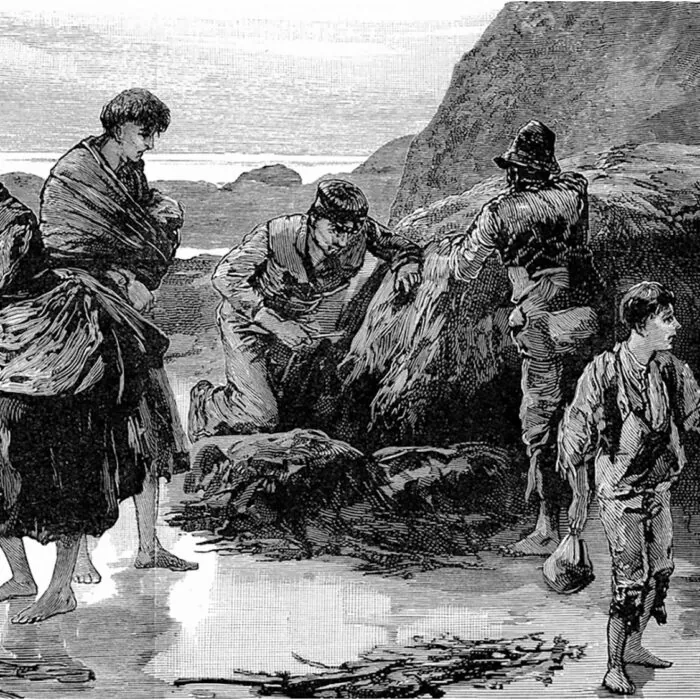 A scene from the Great Irish Famine - Public domain