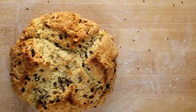 The Spotted Dick 1 A Spotted Dog - djwtwo - cc
