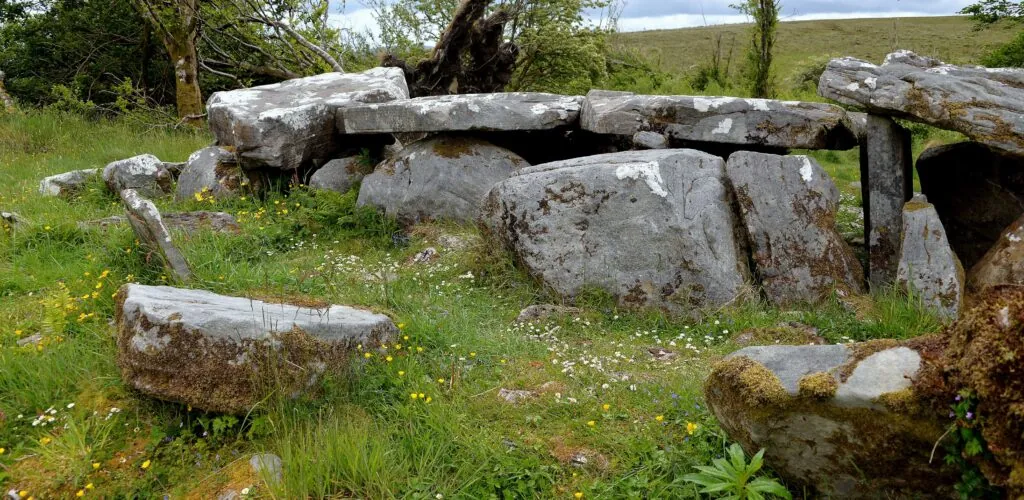 cavan burren park