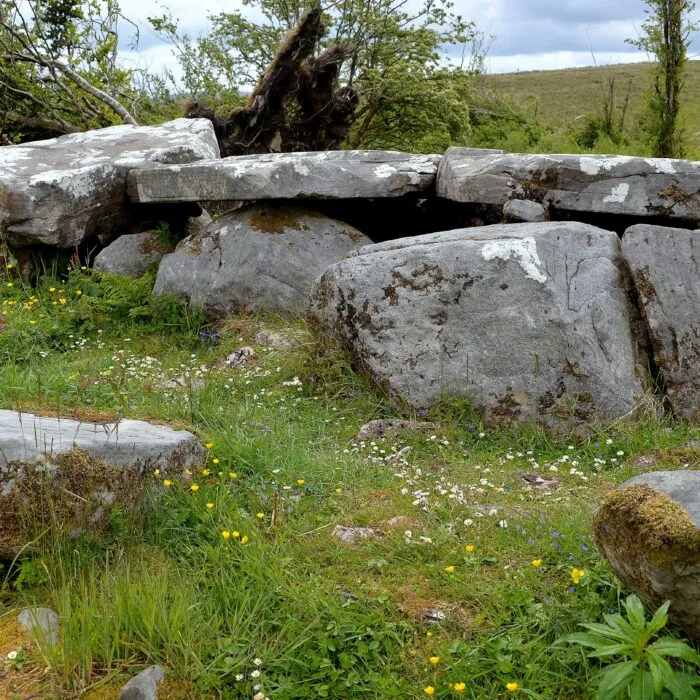 cavan burren park