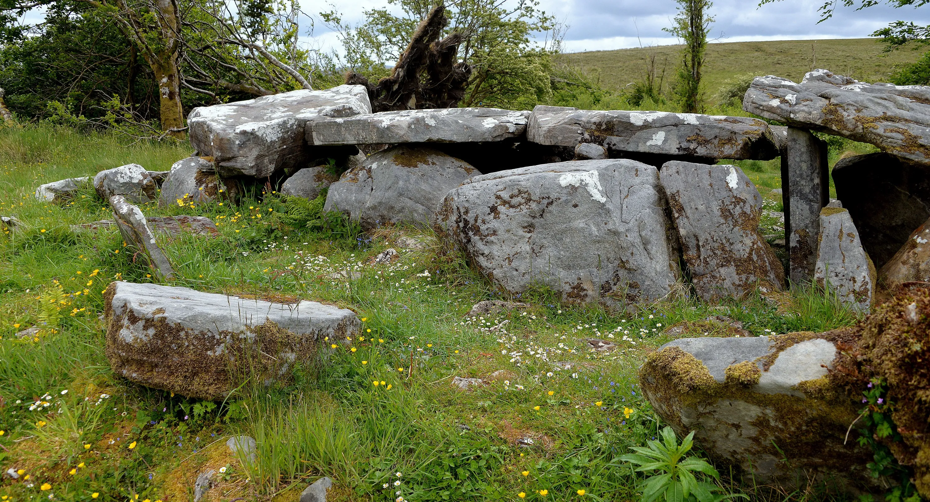 Cavan Burren Park