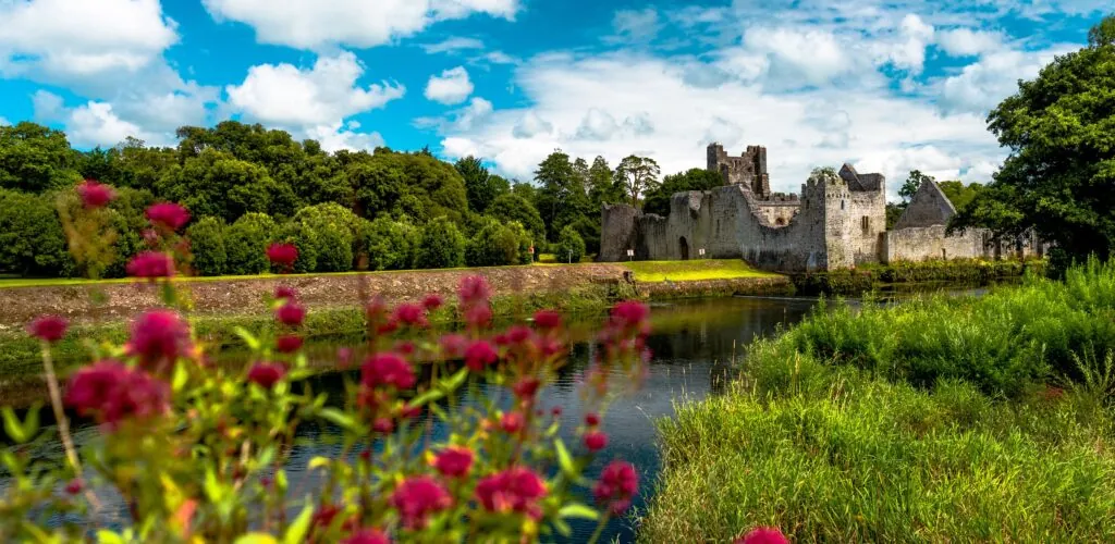 desmond castle adare