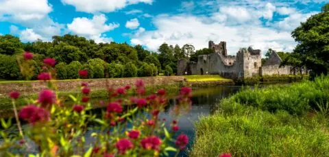 desmond castle adare