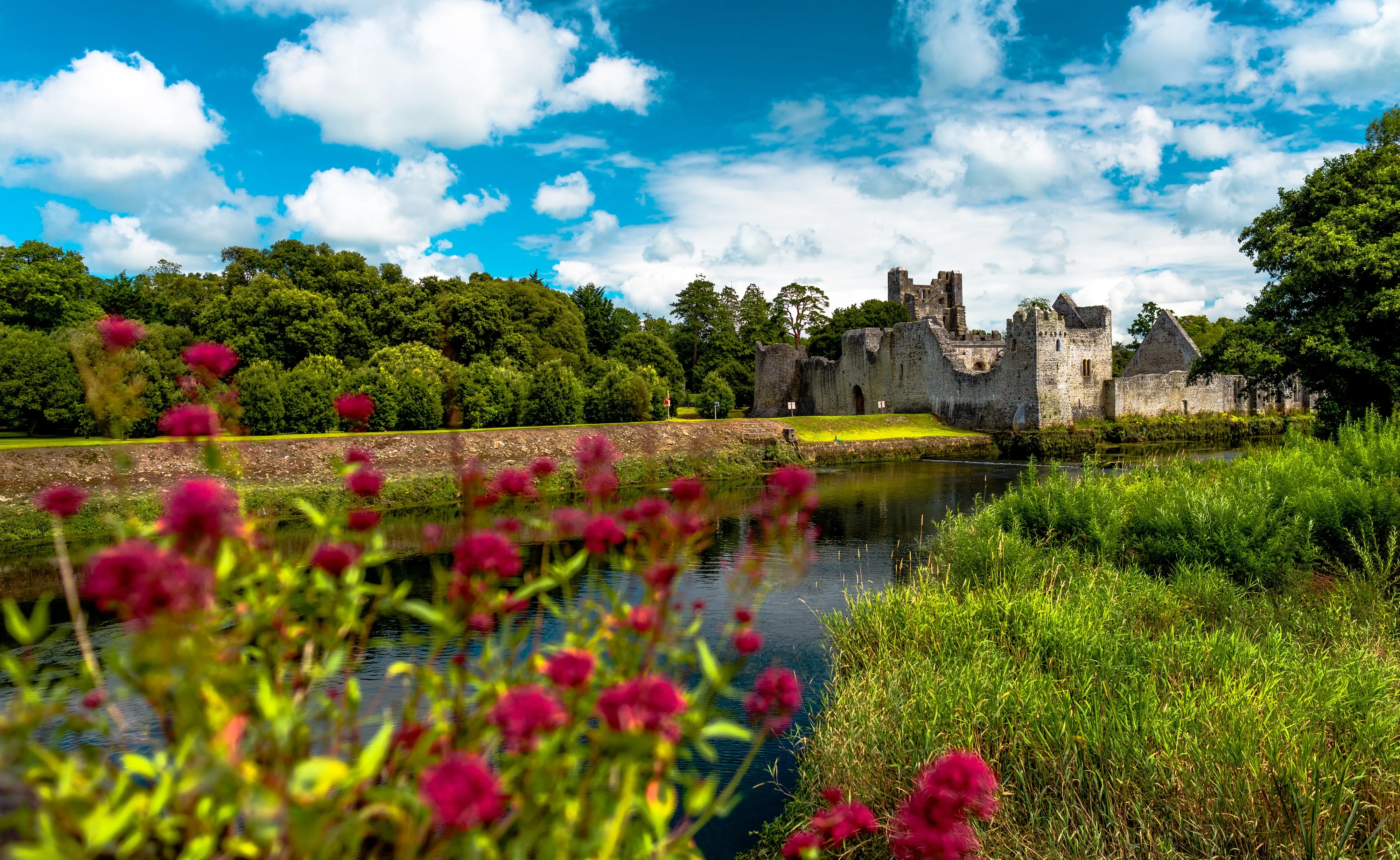 desmond castle adare