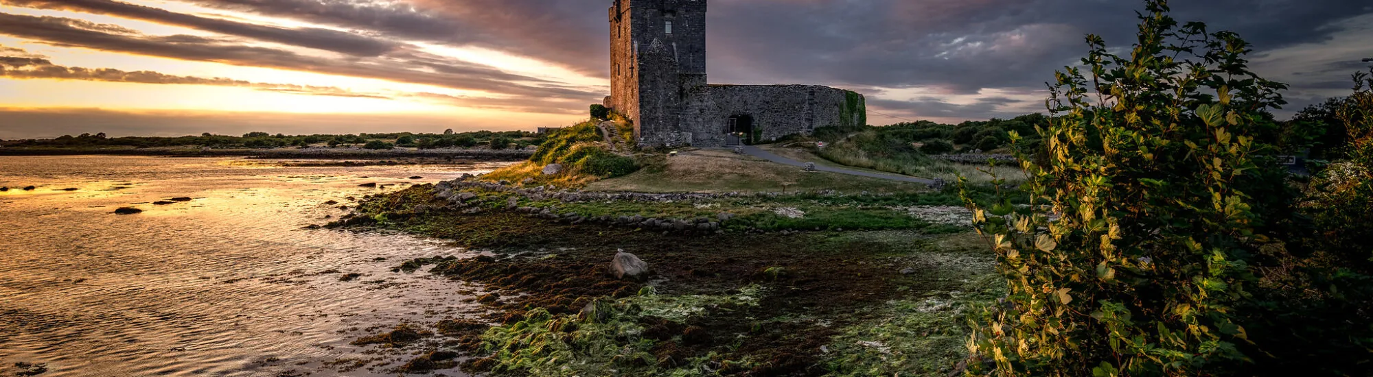 Dunguaire Castle