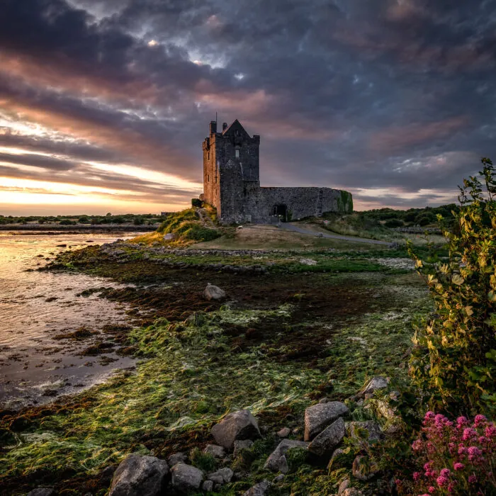 dunguaire castle 4