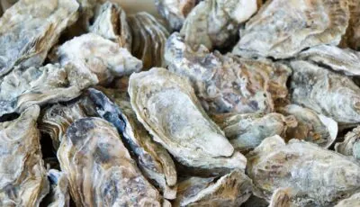 West Waterford Festival of Food