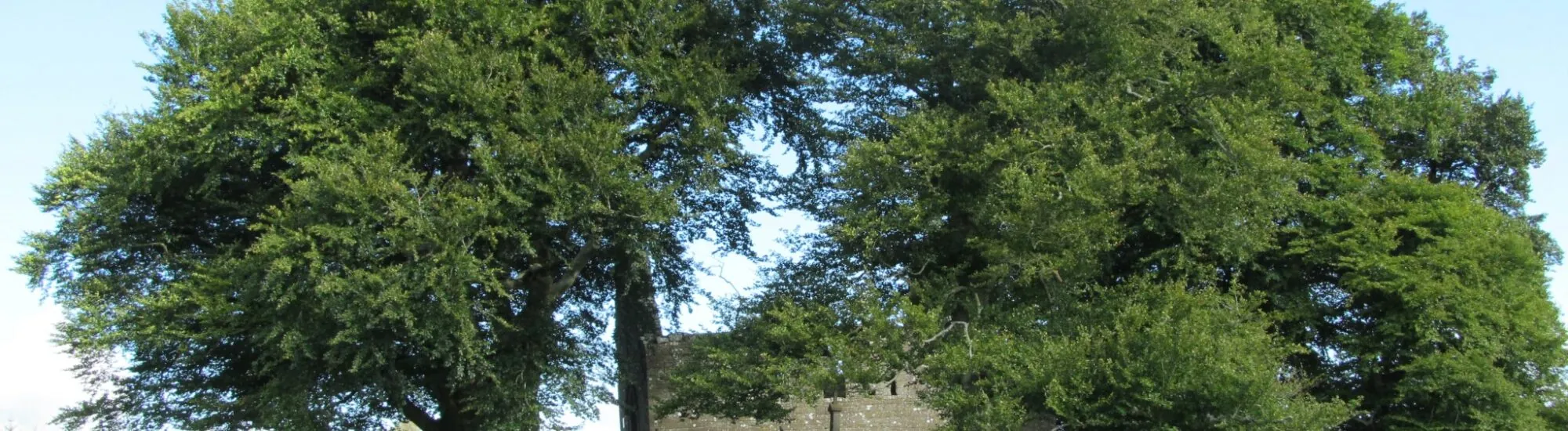 Monaincha Abbey