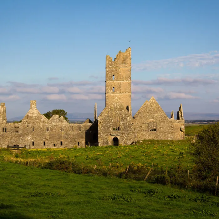 moyne abbey