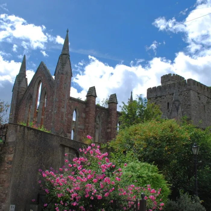 selskar abbey 2
