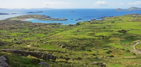 anneau kerry