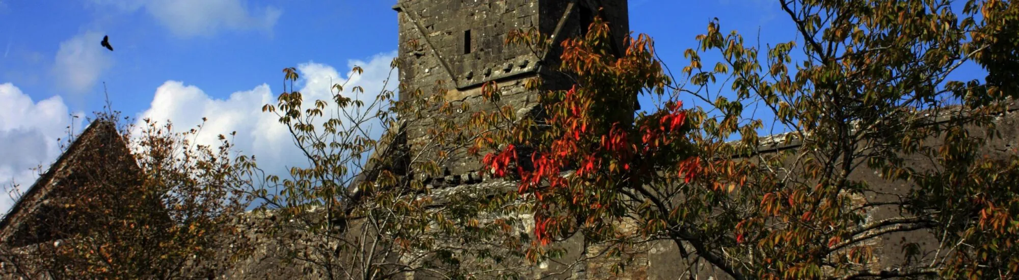 Dunmore Abbey