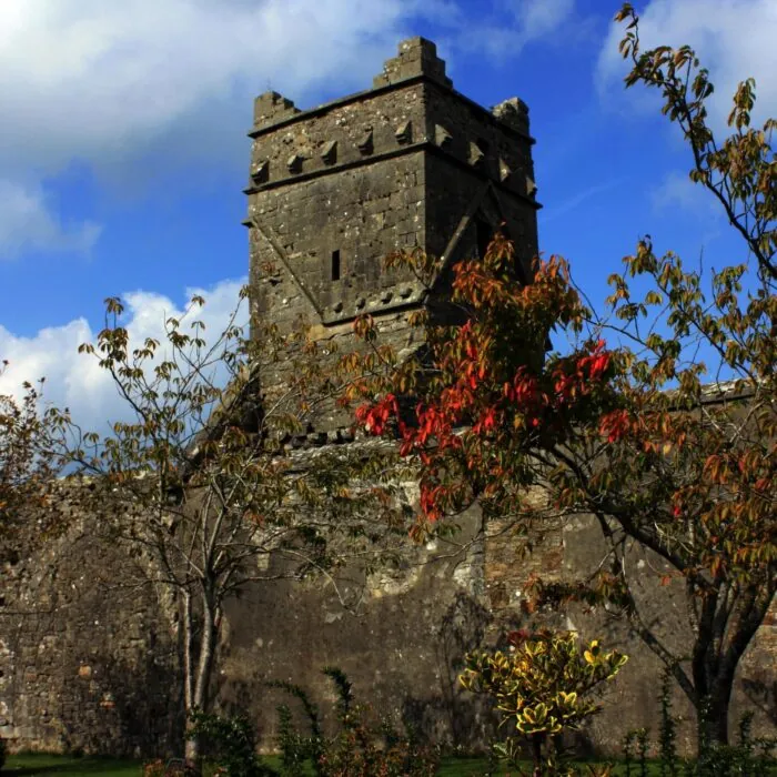 dunmore abbey 1 scaled