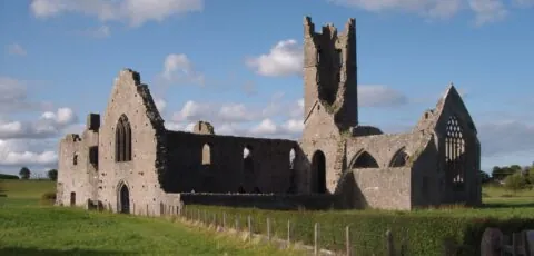 kilmallock abbey 1