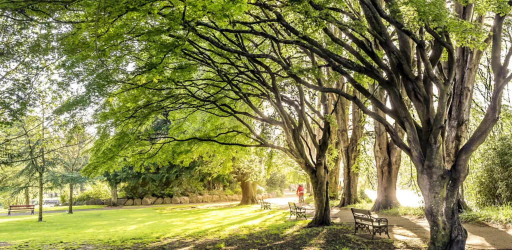fitzgerald park 1