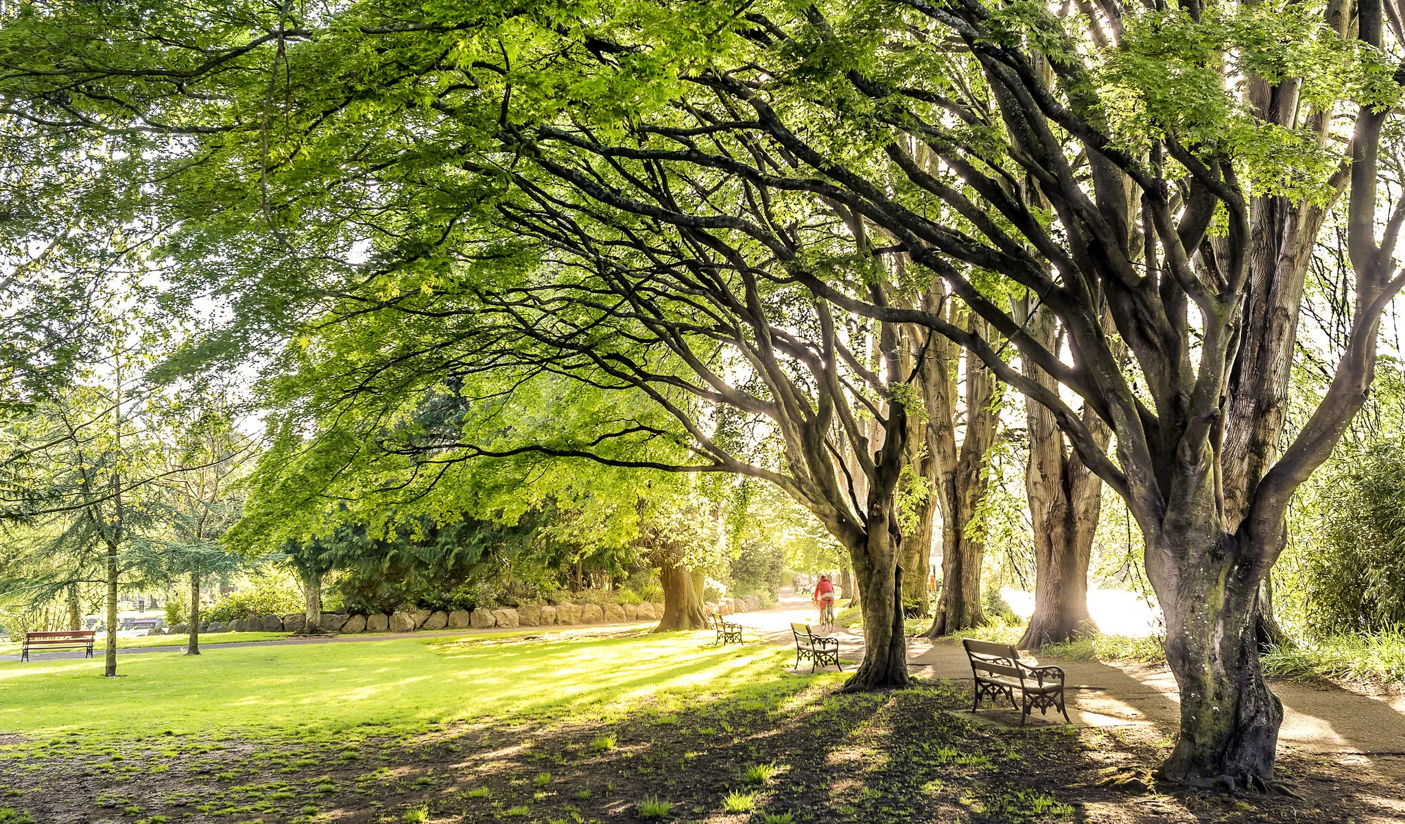 fitzgerald park 1
