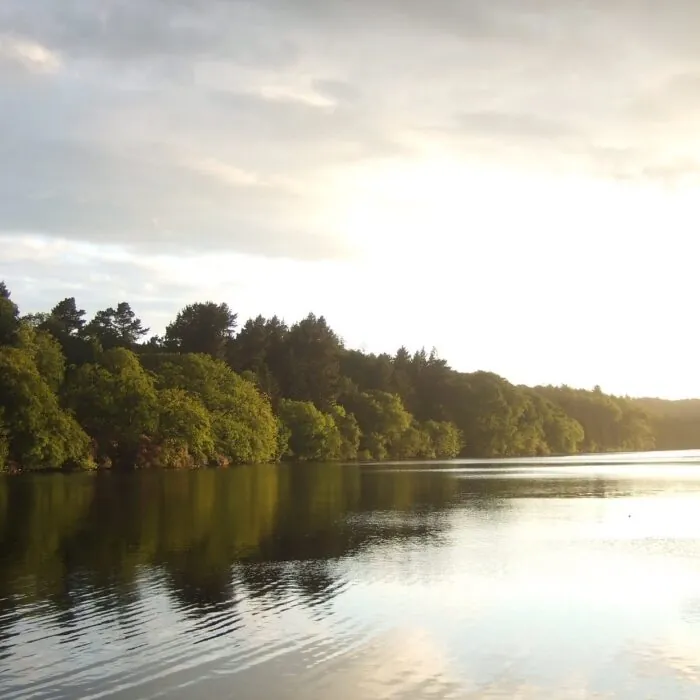 castlewellan park