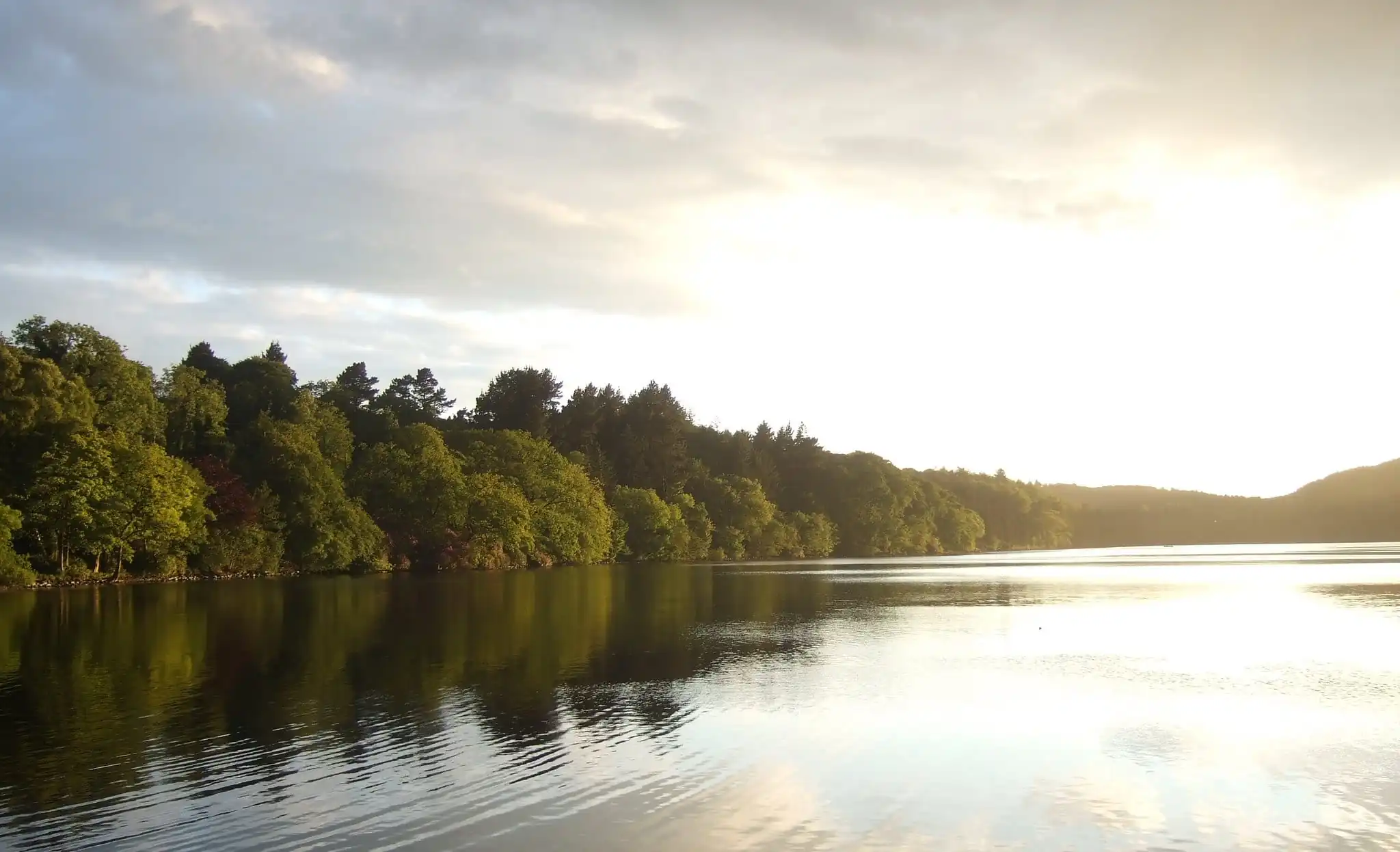 castlewellan park