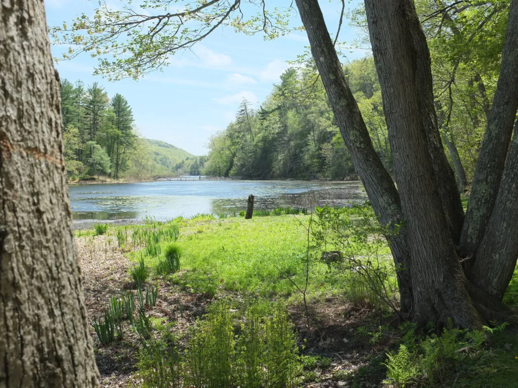innisfree