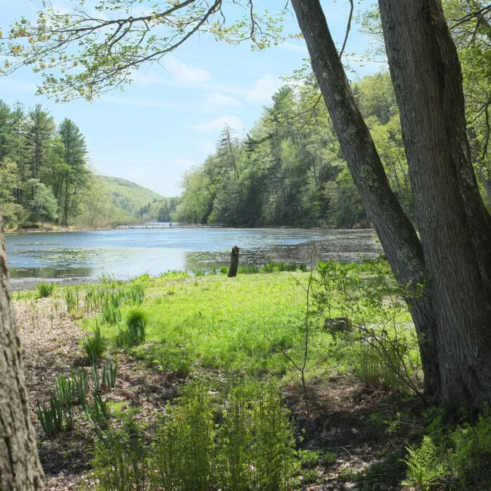 innisfree
