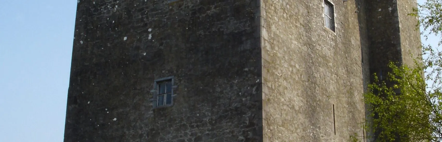 The Redwood Castle