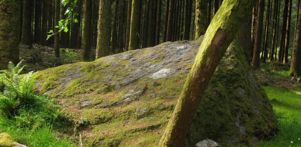 gougane barra forest park 1 e1474621938292