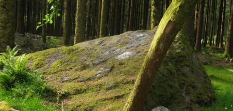gougane barra forest park 1 e1474621938292