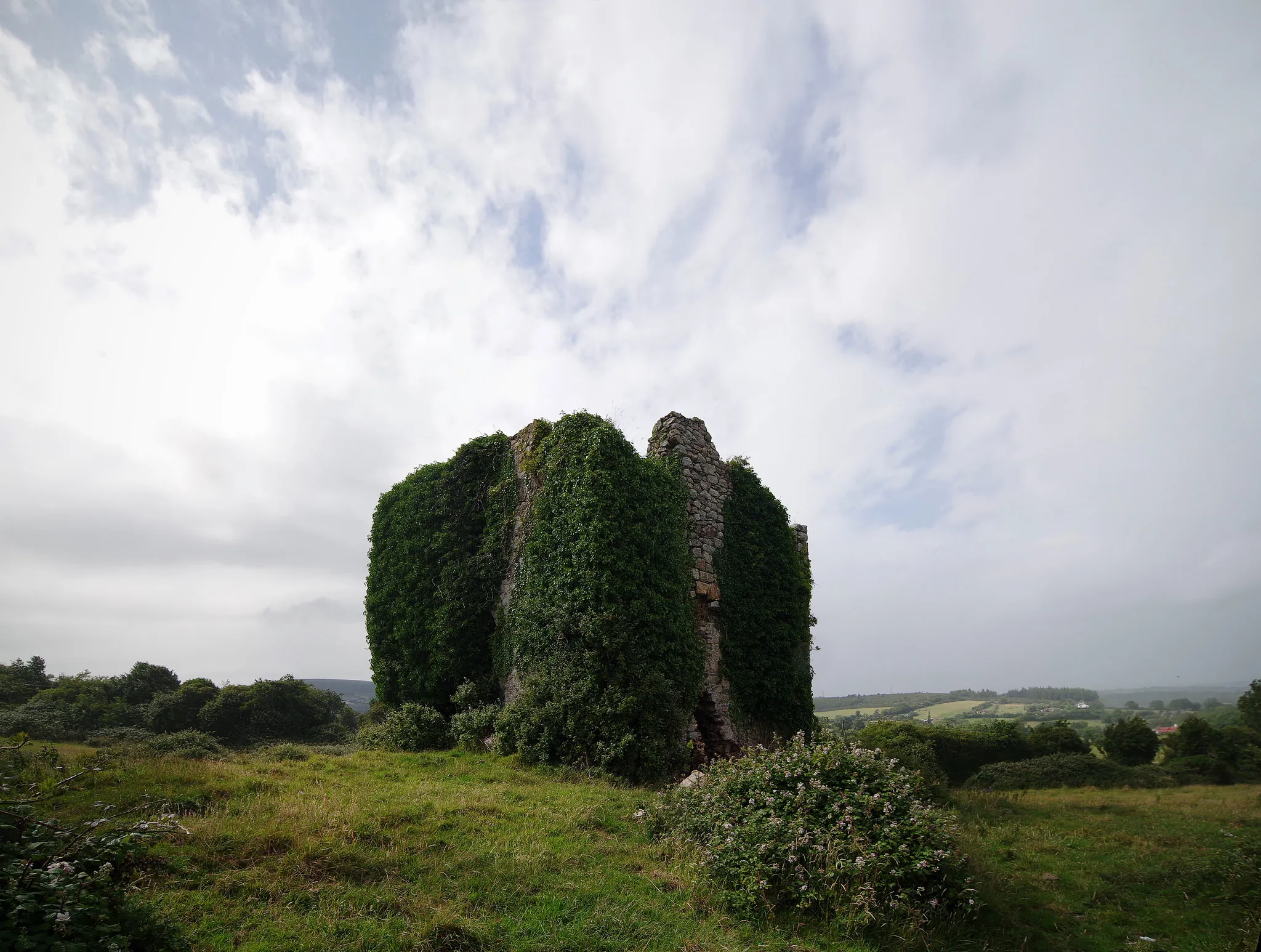 pucks castle 1