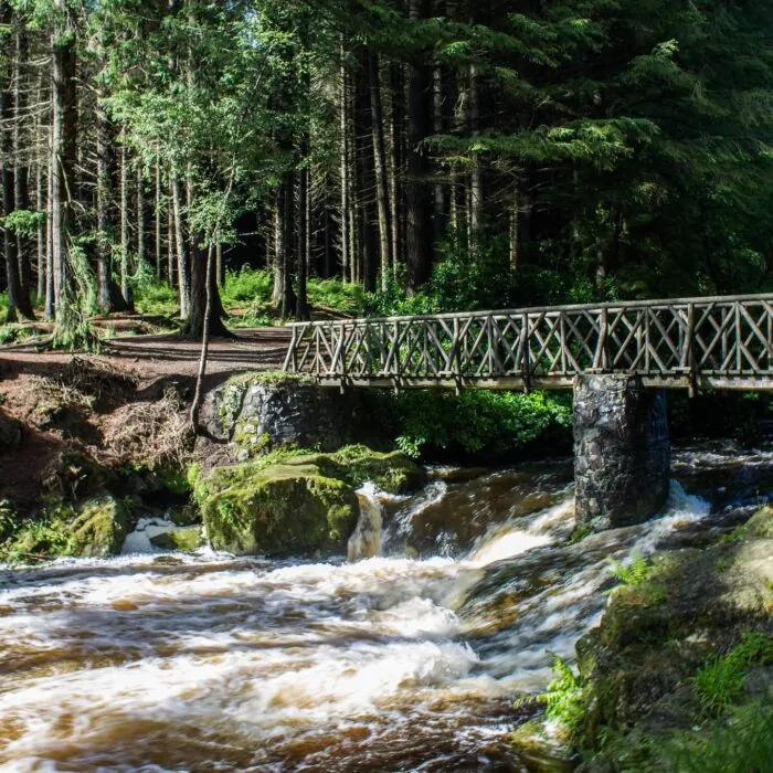 tollymore forest park 1